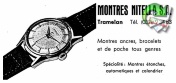Nitella 1955 0.jpg